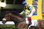 20120229 R6 高一線WINNING EDGE (L297)