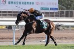 20111211 R7 步步穩 ABLE ONE (G108)  國際一級賽 - 1600米 國泰航空香港一哩錦標