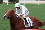 20120226 R3龜兔競跑  ULTIMATE WINNERS(L428)