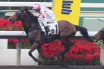 2011-9-25 R5財駿福星  FORTUNE WINNER (K315)