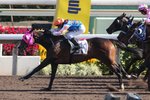 20111127 R5寶貝  LUCKY BOY (J296)