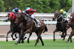 20120527 R3 	樂有贏 HAPPY CHAMPION(N027)