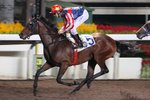 20111019 R4 新強勁  GOLDEN TREASURE (J087)