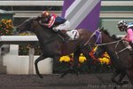 20120115 R6 	新強勁 GOLDEN TREASURE (J087)