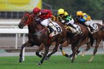 2011-9-25 R9多采多姿  VOILE ROUGE (M343)