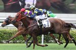 20120603 R4 	京城三寶 	KINGSTON SPARTACUS(L116)
