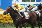20120527 R6 	勁信心 BET ON ME(K376)