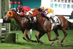 20111130 R8 大把在手HORSE GALORE (L220)