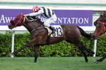 20120715 R10 	花月春風 	DAN EXCEL(N195)