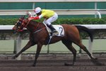 2011-9-18 R4 八發八中 SMART CHOICE(K368)