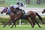 20120603 R2怡情養勝  METREVELLI(M165)
