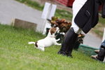 IMG_1013