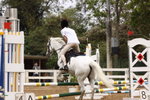 IMG_8419