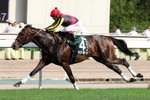 20120429 R8  統治地位 RULERSHIP(N628) 國際一級賽 -愛彼錶女皇盃