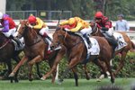 20130317 R8事事為王 AKEED MOFEED(P125) 香港一級賽 - 2000米 寶馬香港打吡大賽