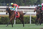 20130317 R7 雄心威龍  AMBITIOUS DRAGON(K399)香港一級賽 - 1400米女皇銀禧紀念盃
