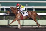 20101114 R2 神童 SUNSHINE KID(M080)