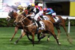 20130327 R2 旺綵 PROLIFIC CHAMPION(M226)