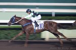 20101114 R7 銀子彈  SLICK BULLET(N141)