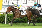 20121107 R8 銘記心頭 WITHINMYHEART(M176)
