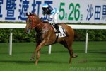 20130522 R1 海之濤 OCEAN ROAR(N317)