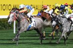 20130116 R1 彩利  MIZZEN GREY(N192)