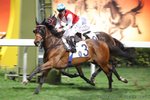 20130123 R5 財神駕到 FORTUNE BRAVO(N054)