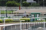 IMG_0157