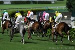 IMG_0095