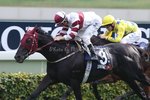 20131208 R4 多名利 DOMINANT N169國際一級賽 - 2400米 浪琴表香港瓶)