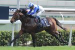 20131208 R5 龍王 LORD KANALOA(P602)  國際一級賽 - 1200米浪琴表香港短途錦標