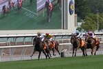 IMG_0454