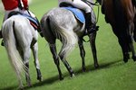 IMG_0416