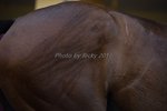 IMG_0058