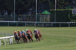 IMG_0064