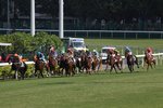 IMG_0076