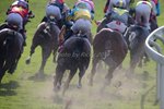 IMG_0190
