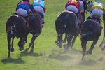 IMG_0195