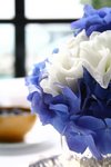 still_life021