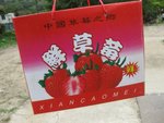 照片 011