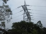 2625_57233742082_645242082_1692502_6544668_n