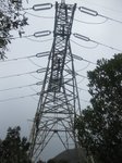 2625_57233747082_645242082_1692503_6088294_n