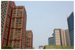 IMG_0184c