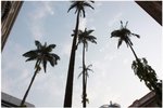 IMG_5322c