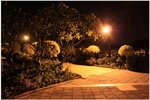 IMG_0090c