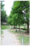 IMG_1346c