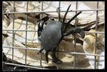 IMG_2067