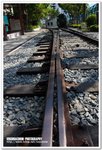 IMG_5550