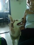 DSC01327