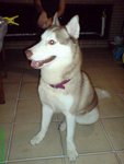 DSC01640